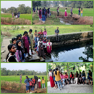 nature walk